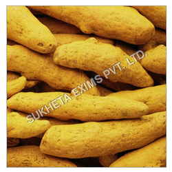 Organic Turmeric Manufacturer Supplier Wholesale Exporter Importer Buyer Trader Retailer in Aurangabad Maharashtra India